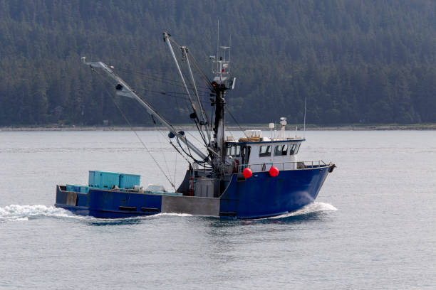 istock Juneau, Alaska, USA 1213904509