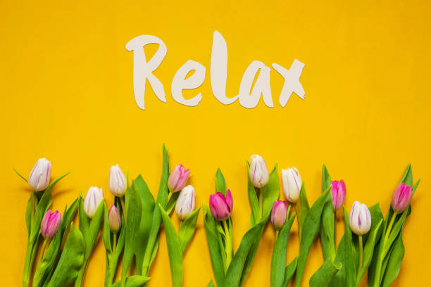istock Colorful Tulip, Spring Flowers, Text Relax, Yellow Background 1213904761
