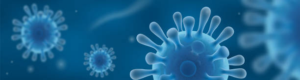 Coronavirus covid-19 banner. Coronavirus covid-19 blue banner. Respiratory infection causing pneumonia and lung disease. Vector illustration in realistic 3D style. bronchiole stock illustrations