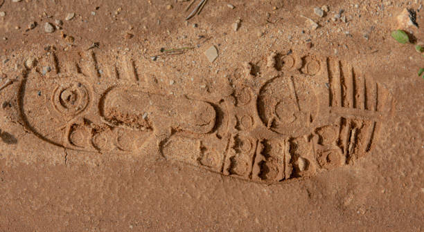 istock Shoe print in the sand 1213907928