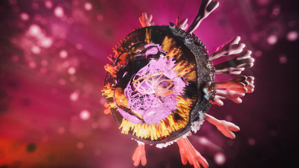Abs COVID-19 structure Abs COVID-19 structure - 3d rendered image structure view on black background. 
Viral Infection concept. MERS-CoV, SARS-CoV, ТОРС, 2019-nCoV, Wuhan Coronavirus.
Design element. RNA. High resolution. genetic mutation stock pictures, royalty-free photos & images