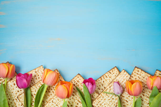 concepto de celebración de la pascua de vacaciones judías con matzah y flores de tulipán sobre mesa de madera. fondo de pesah. - passover matzo seder spring fotografías e imágenes de stock