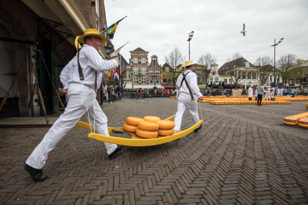 Carriers walking with many cheeses in the famous Dutch cheese market in Alkmaar Alkmaar, Netherlands - April 21, 2017: Carriers walking with many cheeses in the famous Dutch cheese market in Alkmaar, The Netherlands. The event happens in the Waagplein square. cheese dutch culture cheese making people stock pictures, royalty-free photos & images