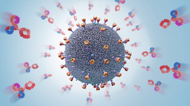 The body's own released antibodies attack a virus pathogen cell - 3d illustration The body's own released antibodies attack a virus pathogen cell - 3d illustration christoph stock pictures, royalty-free photos & images