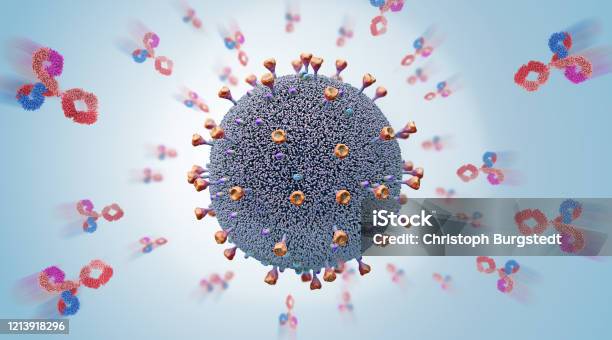 The Bodys Own Released Antibodies Attack A Virus Pathogen Cell 3d Illustration Stock Photo - Download Image Now