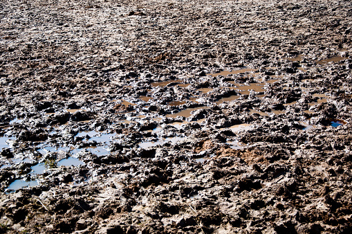 Closeup view dirty wet slush ground with liquid empty with no people sunny day outdoor on natural background