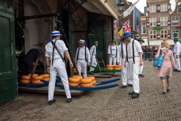 Carriers walking with many cheeses in the famous Dutch cheese market in Alkmaar Alkmaar, Netherlands - April 21, 2017: Carriers walking with many cheeses in the famous Dutch cheese market in Alkmaar, The Netherlands. The event happens in the Waagplein square. cheese dutch culture cheese making people stock pictures, royalty-free photos & images