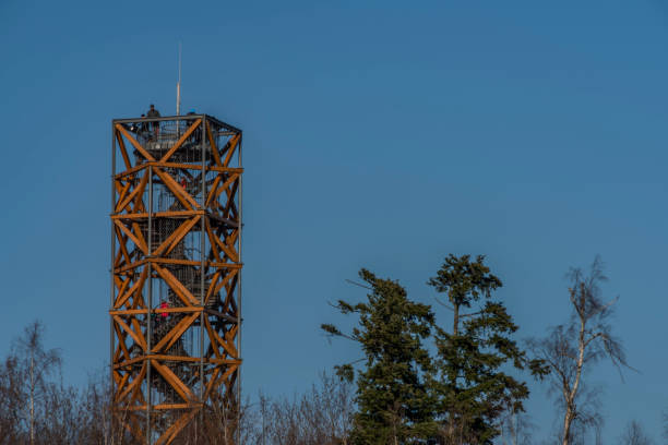 istock View for landscape with cut down forests after bark beetle and lookout tower 1213925374