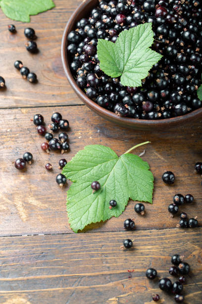istock Black currant in a clay bowl top view. 1213928590