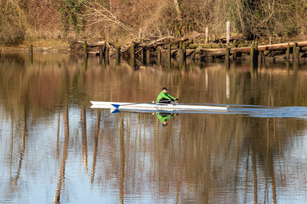 Man Rowing on Snohomish River Everett, WA - USA / 03/19/2020 - Man Rowing on Snohomish River everett washington state photos stock pictures, royalty-free photos & images