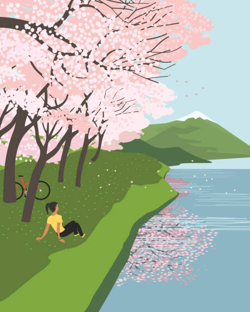 Cherry blossoms at river enjoy flat vector poster Springtime Cherry blossoms at river enjoyment flat vector poster. Sakura blossoming on lake green lawn bank landscape cartoon illustration. Beautiful nature outdoor spring season event banner template flower backgrounds cherry blossom spring stock illustrations