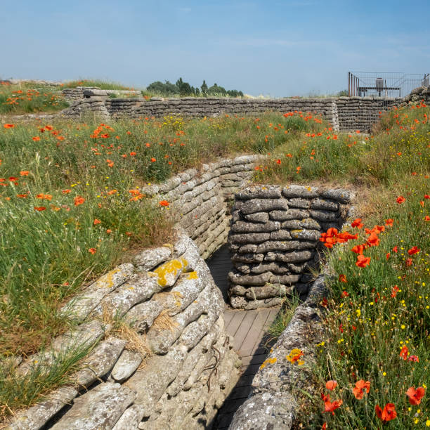 istock World War I trenches known as Dodengang (Trench of Death) surrounded by poppies 1213932018