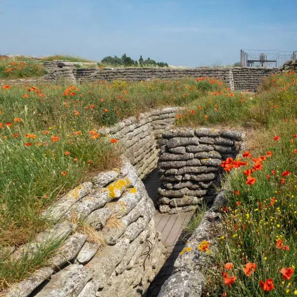 Photo of World War I trenches known as Dodengang (Trench of Death) surrounded by poppies