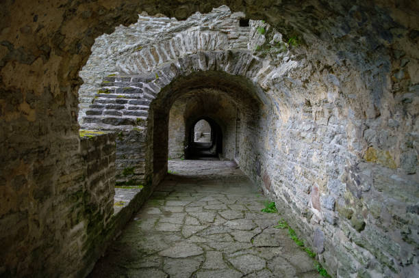 antico convento in rovina di santa brigitta nella regione di pirita, tallinn, estonia - estonia tallinn old ruin ruined foto e immagini stock