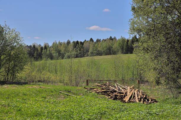 Sawn boards are stacked on the grass next to the tree