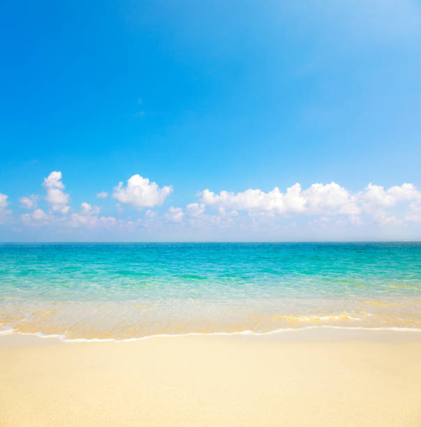 istock beautiful tropical beach and sea 1213934783