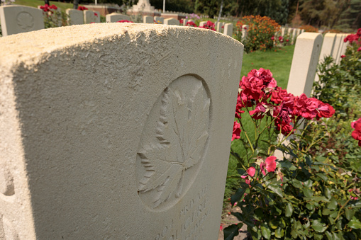 Canadian Maple Leaf sign on a gravestone on the 'Canadian Cemetery Holten' on the Holterberg; Holten, Netherlands