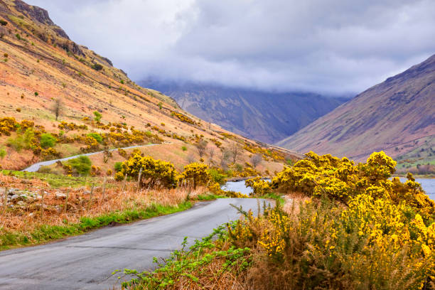 istock road in the British Lake District 1213937488