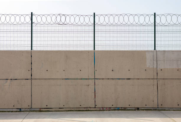 Razor wire with its sharp steel barbs on top of a concrete wall stock photo