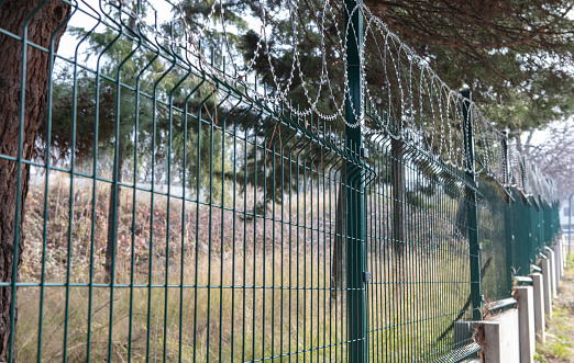 Steel grating fence of field,Metal fence wire. Coiled razor wire with its sharp steel barbs on top of a wire mesh perimeter fence ensuring safety and security.