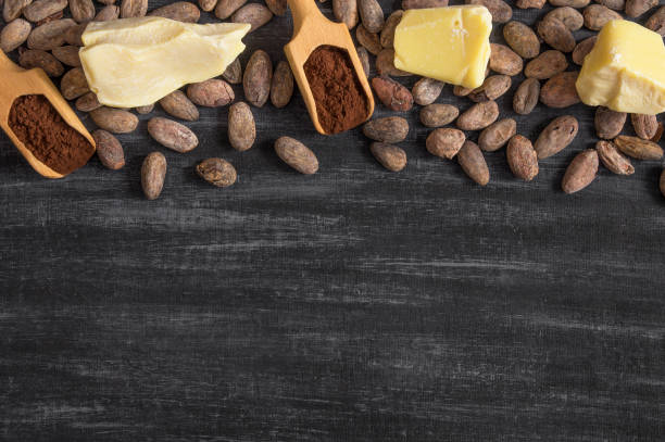 istock Cocoa butter or Cocoa bean solid oil with cacao powder in spoon and raw cocoa beans on rustic backdrop, healthy natural oil 1213940868