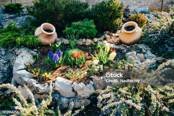 Flower Flowerbed Among Stones Floral Arrangements In A Zen Garden Stock Photo - Download Image Now