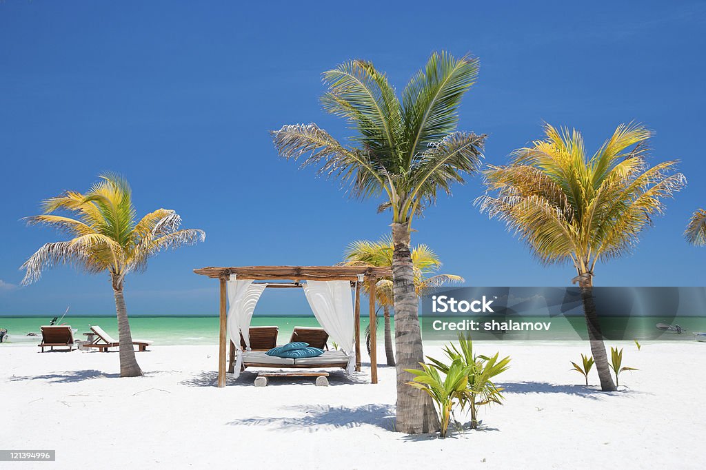 Tropical beach on a clear day with a private cabana Beach beds among palm trees at perfect tropical coast on Holbox island in Mexico Holbox Island Stock Photo