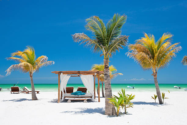 Tropical beach on a clear day with a private cabana stock photo