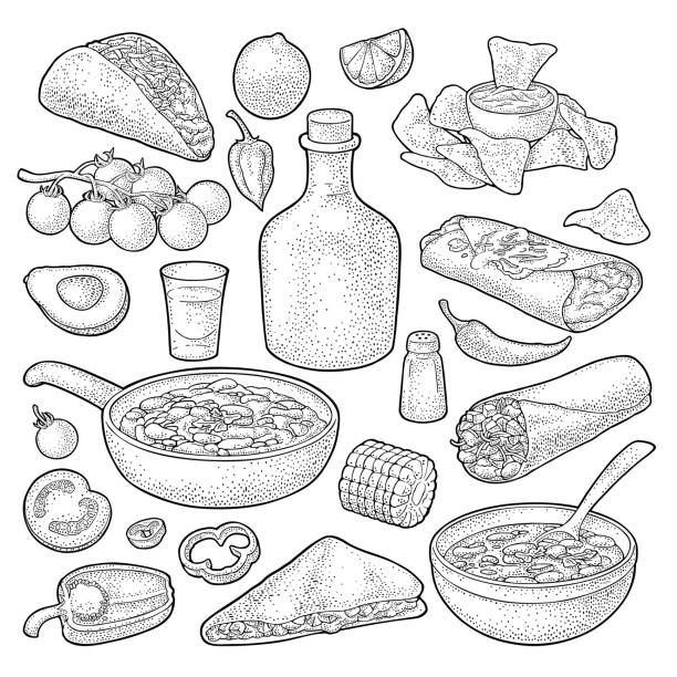 ilustraciones, imágenes clip art, dibujos animados e iconos de stock de juego de comida tradicional mexicana con guacamole, enchilada, burrito, tacos, nachos - guacamole bowl mexican culture drawing