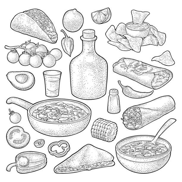 ilustrações, clipart, desenhos animados e ícones de conjunto de comida tradicional mexicana com guacamole, enchilada, burrito, tacos, nachos - guacamole bowl mexican culture drawing