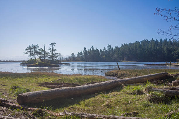 istock British Columbia's west coast 1213950001