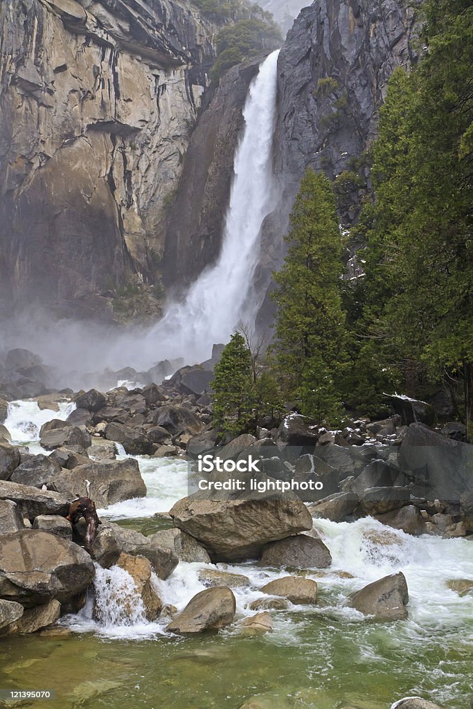 Neblina de Yosemite - Royalty-free Abeto Foto de stock