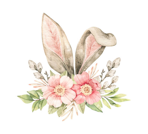 illustrations, cliparts, dessins animés et icônes de illustration botanique d’aquarelle. bouquet de printemps avec fleur rose rose rose rose, oreilles de saule et de lapin. rose douce, bourgeon, branches, feuilles vertes. parfait pour les invitations, cartes de vœux, affiches, emballage - rabbit easter flower frame