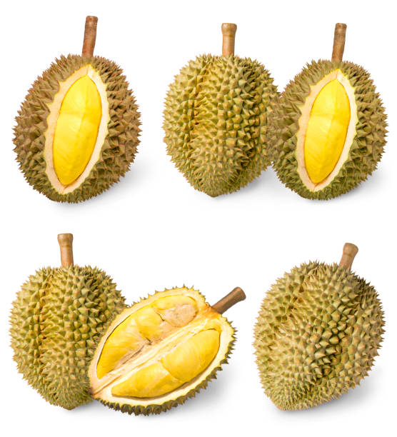 istock Durian isolated on white background, Durian isolated for packaging design 1213962534