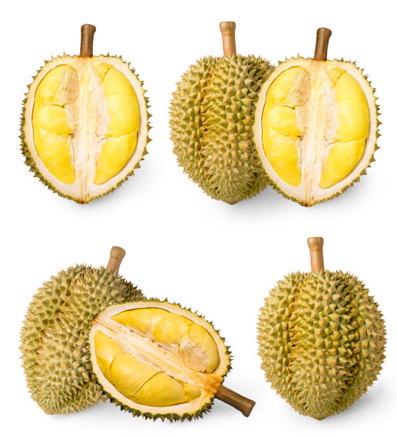 istock Durian isolated on white background, Durian isolated for packaging design 1213962538