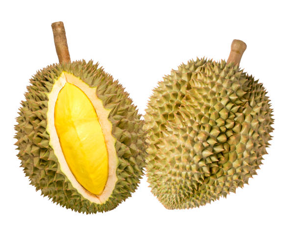 istock Durian isolated on white background, Durian isolated for packaging design 1213962539