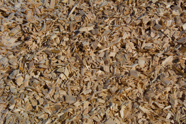 istock Wood chips stacked near a sawmill in Quebec 1213964182