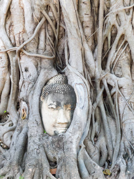 istock Ayutthaya Buddha Head statue with trapped in Bodhi Tree roots at Wat Maha That. 1213965302