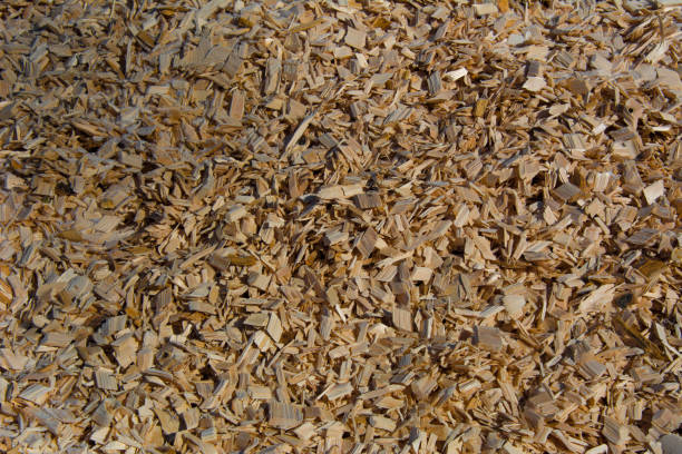 istock Wood chips stacked near a sawmill in Quebec 1213965387