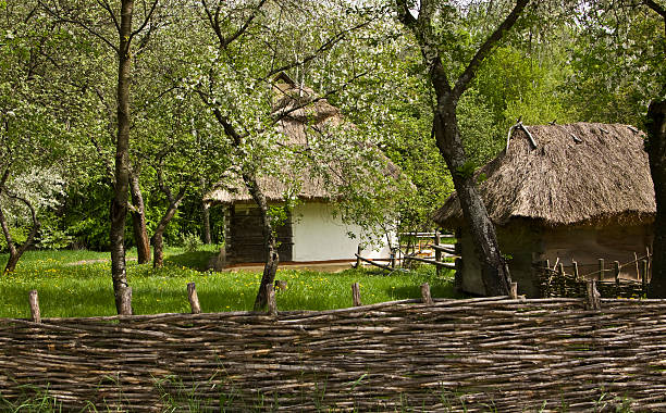 istock Ukrainian houses 121396616