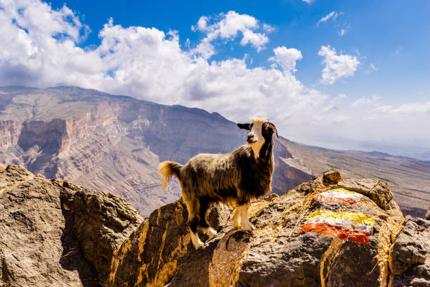 istock An amazing place in Oman called Wadi Ghul 1213972644