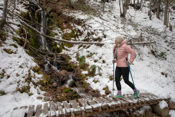 female hiker walks across snow covered boardwalk - 16191 imagens e fotografias de stock