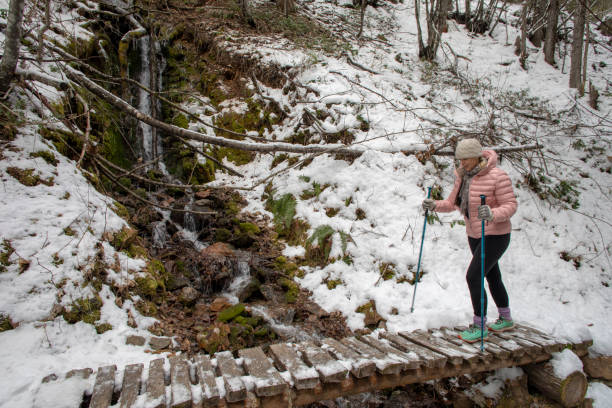 istock Female hiker walks across snow covered boardwalk 1213973037