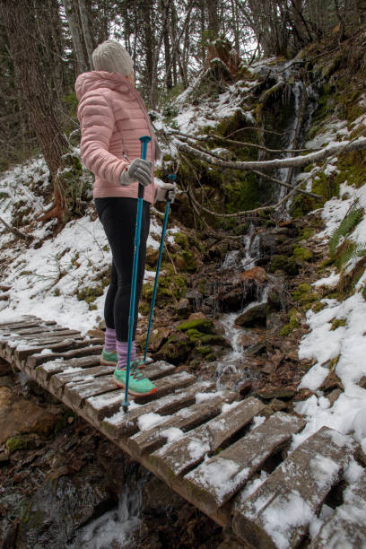 female hiker walks across snow covered boardwalk - 16204 imagens e fotografias de stock