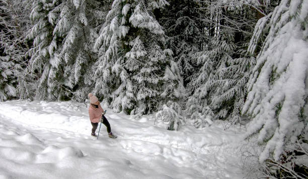 istock Female hiker walks along on trail covered in snow 1213974768