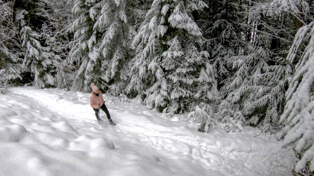 istock Female hiker walks along on trail covered in snow 1213974775