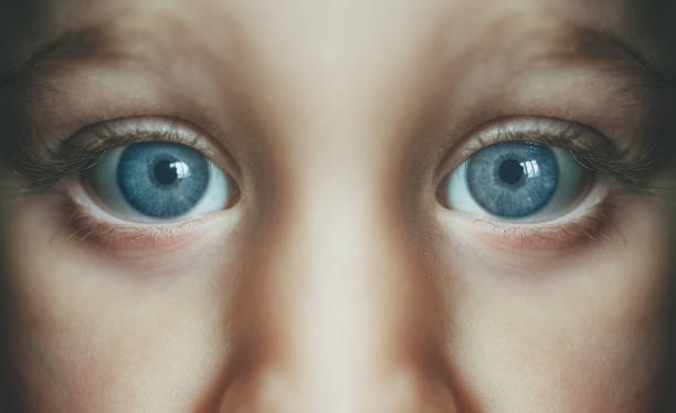 istock Blue Eyed Symmetry 1213974786