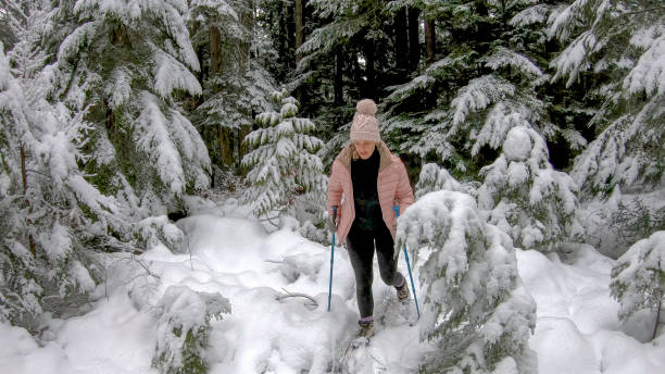 istock Female hiker walks through snowy forest 1213974893