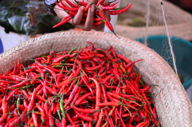 istock Chillies and hot peppers 1213977438