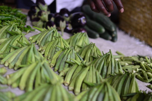 istock Okro, okra, lady fingers 1213977556